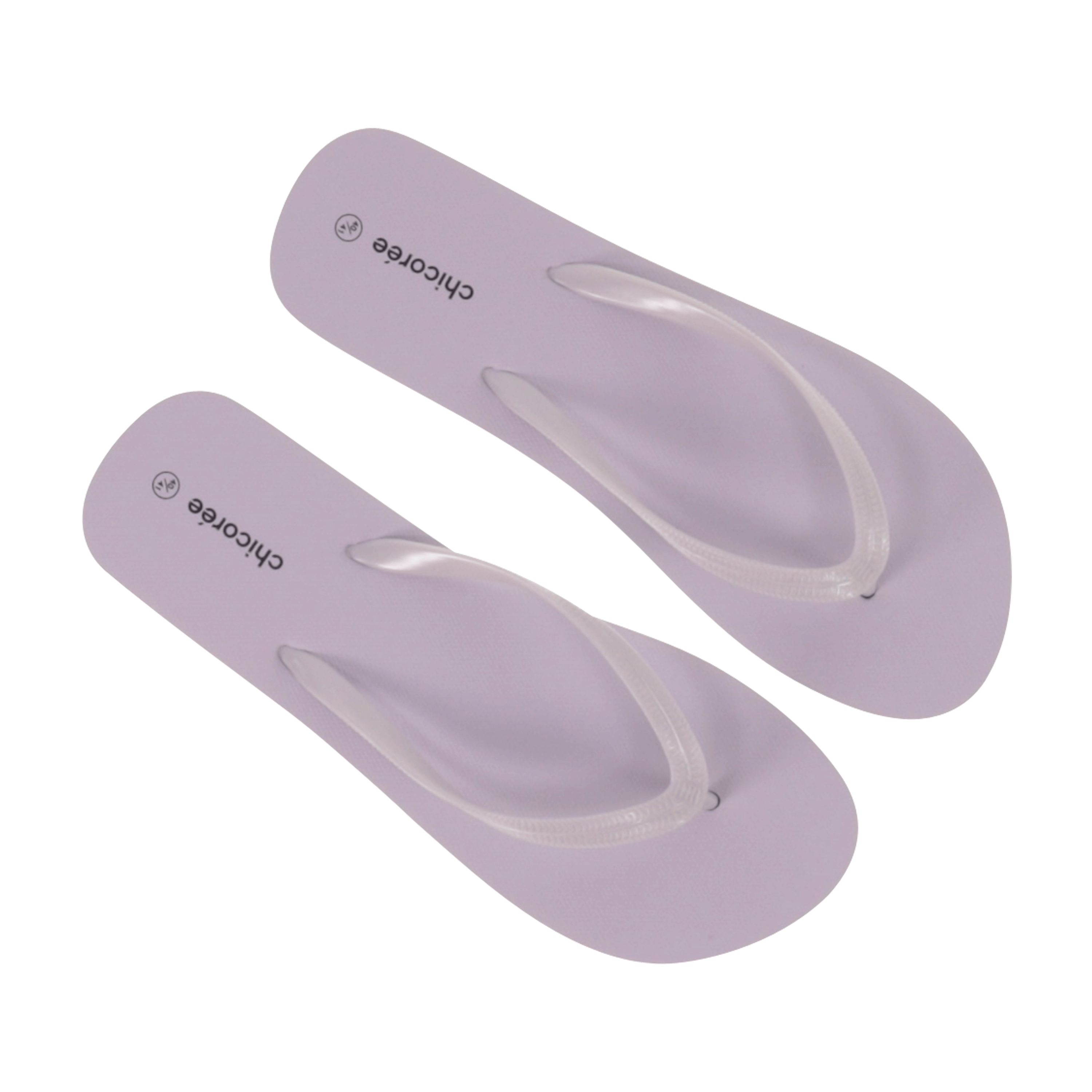 Basic Flip Flop