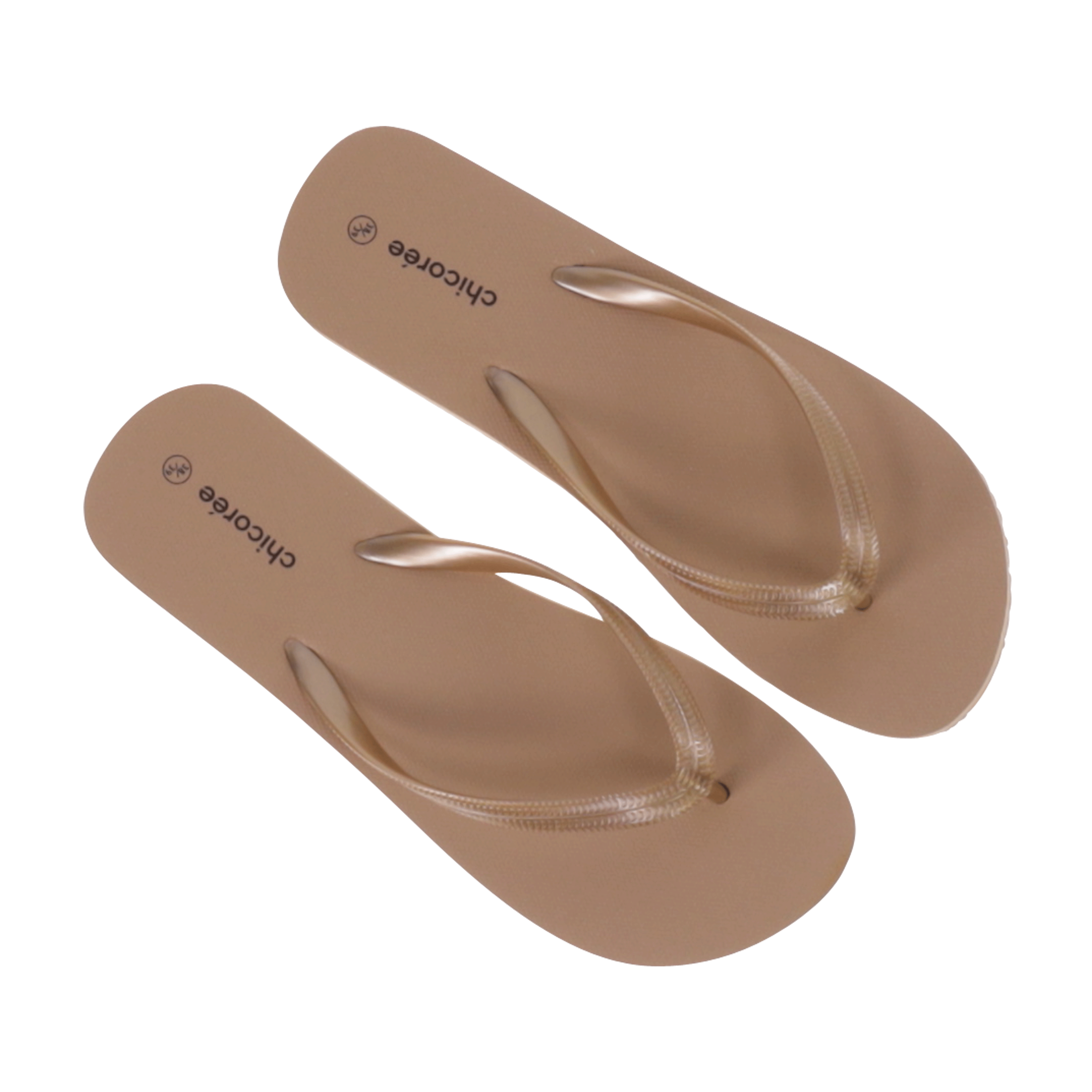 Basic Flip Flop