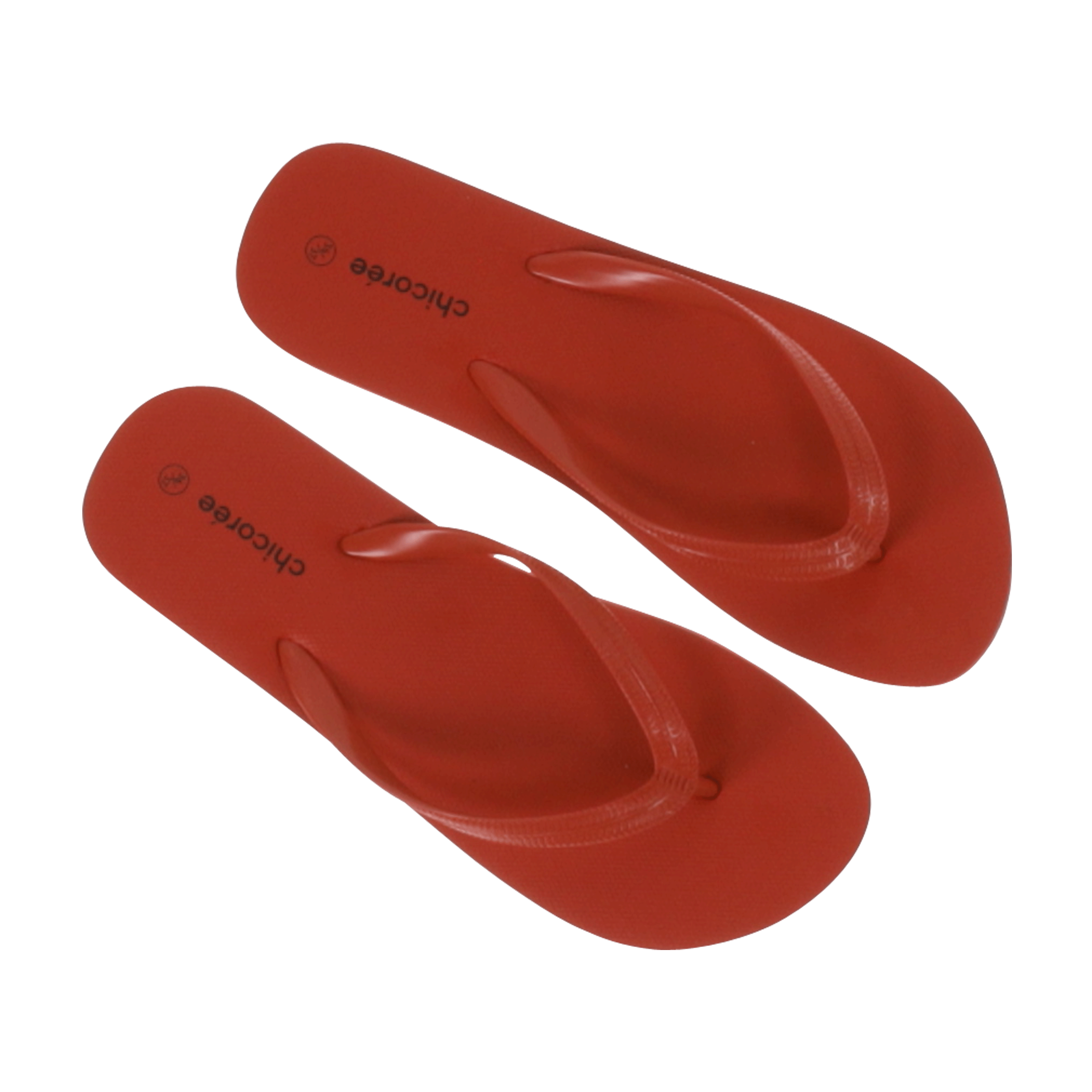 Basic Flip Flop