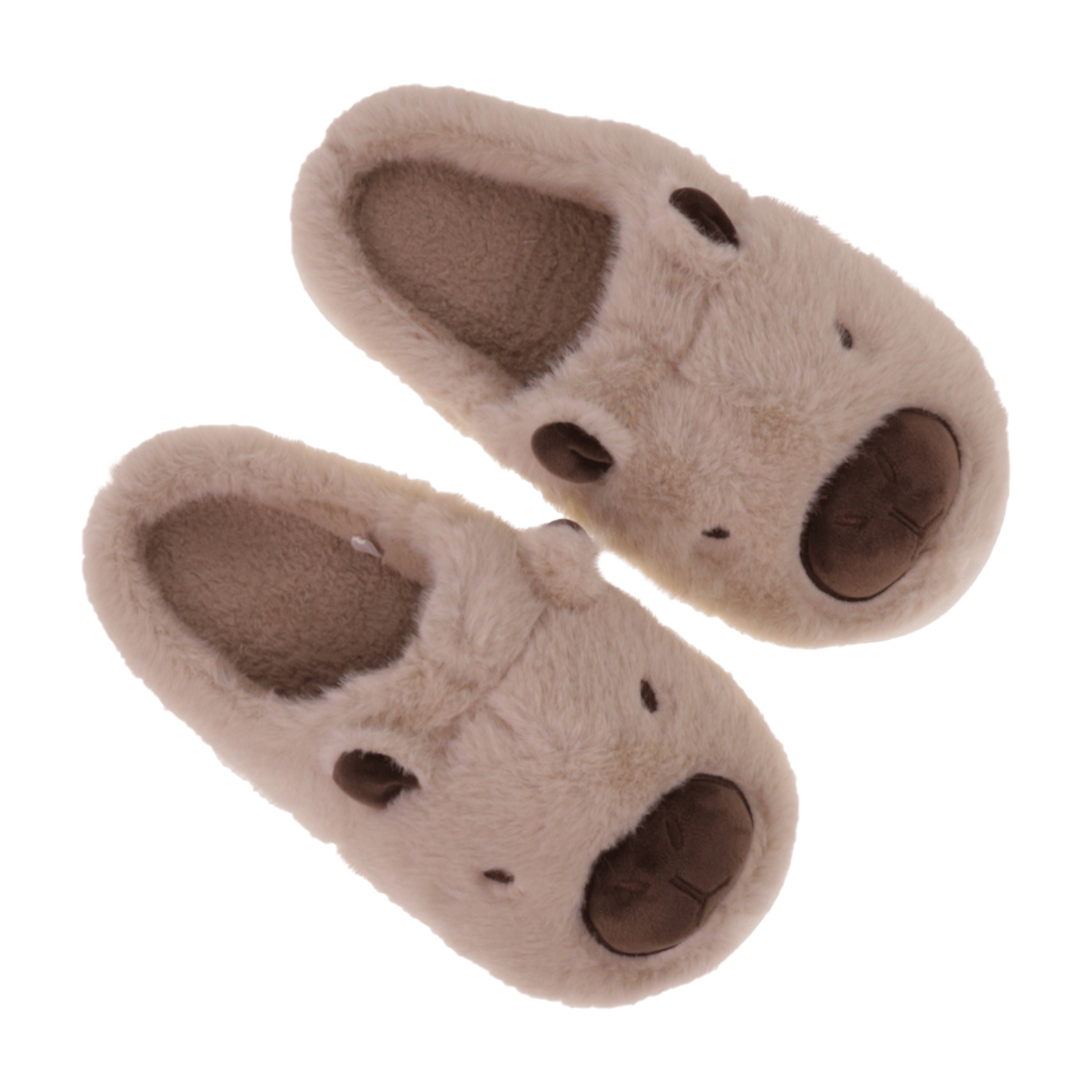 Capybara Slippers
