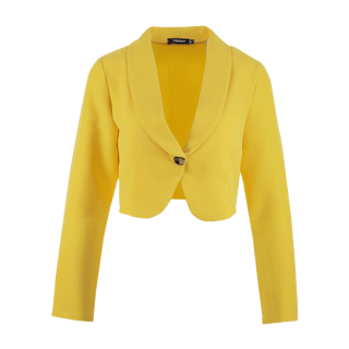 Isan Blazer